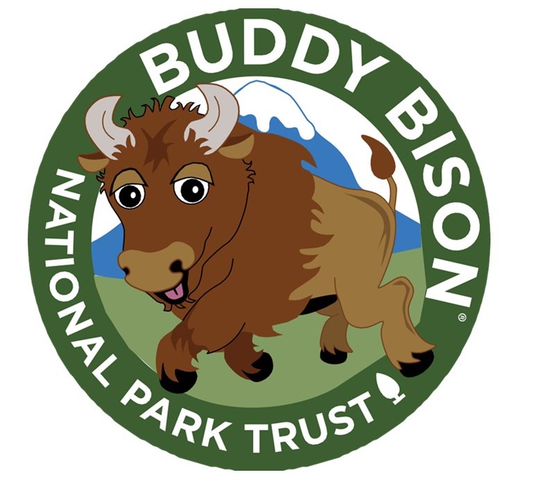 Buddy Bison.JPG