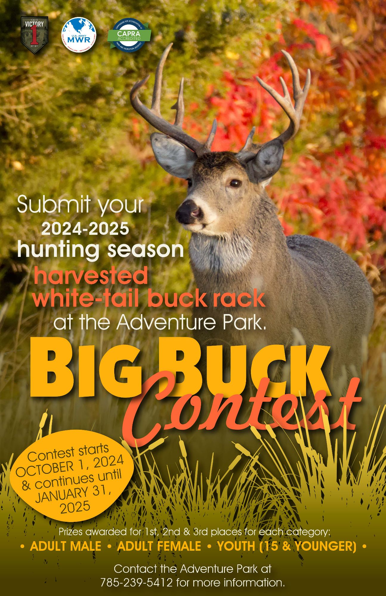 big buck contest24.jpg