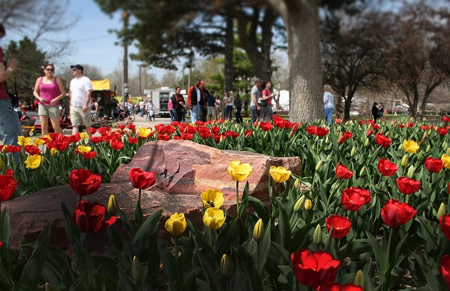 RLY_Wamego Tulip Festival.jpg