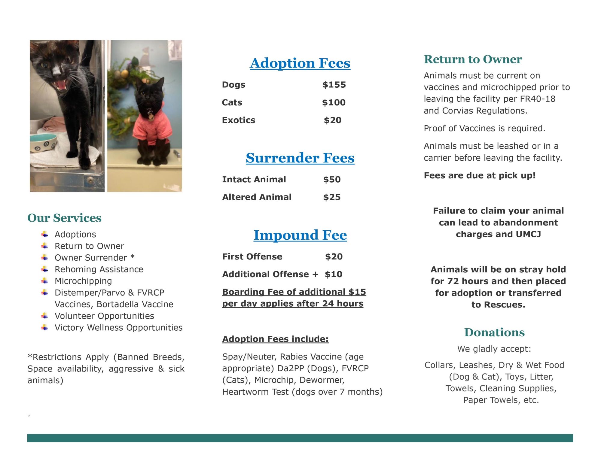 Shelter Brochure cmr-2.jpg